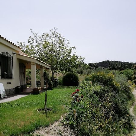 S'Orrosa Casa Vacanze Bifamiliare In Montagna Panorama Stupendo Sardegna Seulo Exterior photo