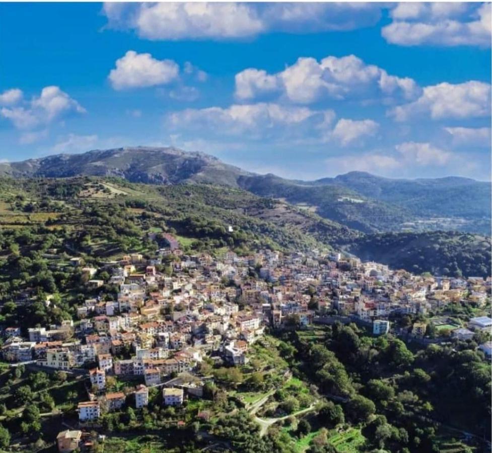 S'Orrosa Casa Vacanze Bifamiliare In Montagna Panorama Stupendo Sardegna Seulo Exterior photo