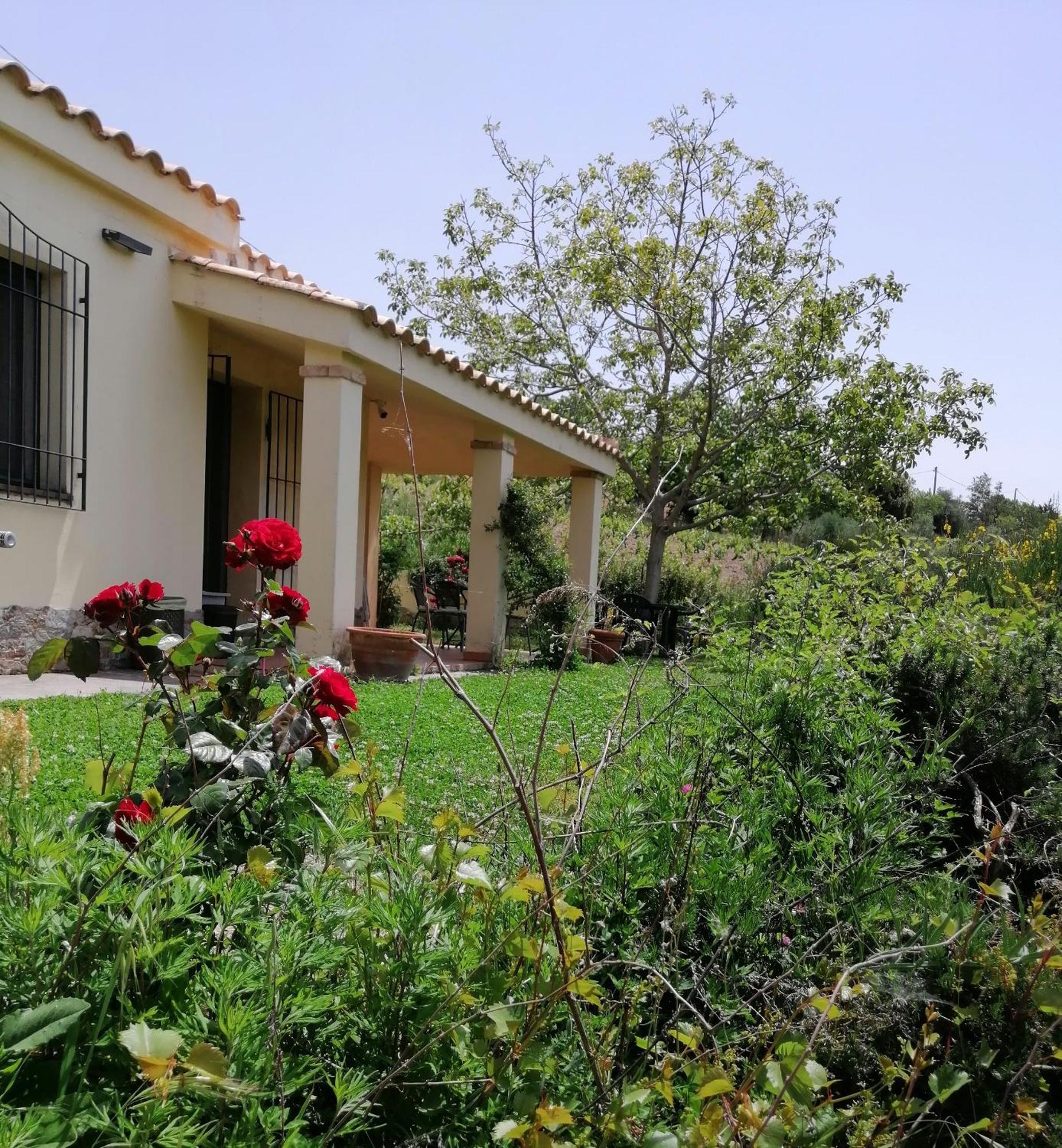 S'Orrosa Casa Vacanze Bifamiliare In Montagna Panorama Stupendo Sardegna Seulo Exterior photo