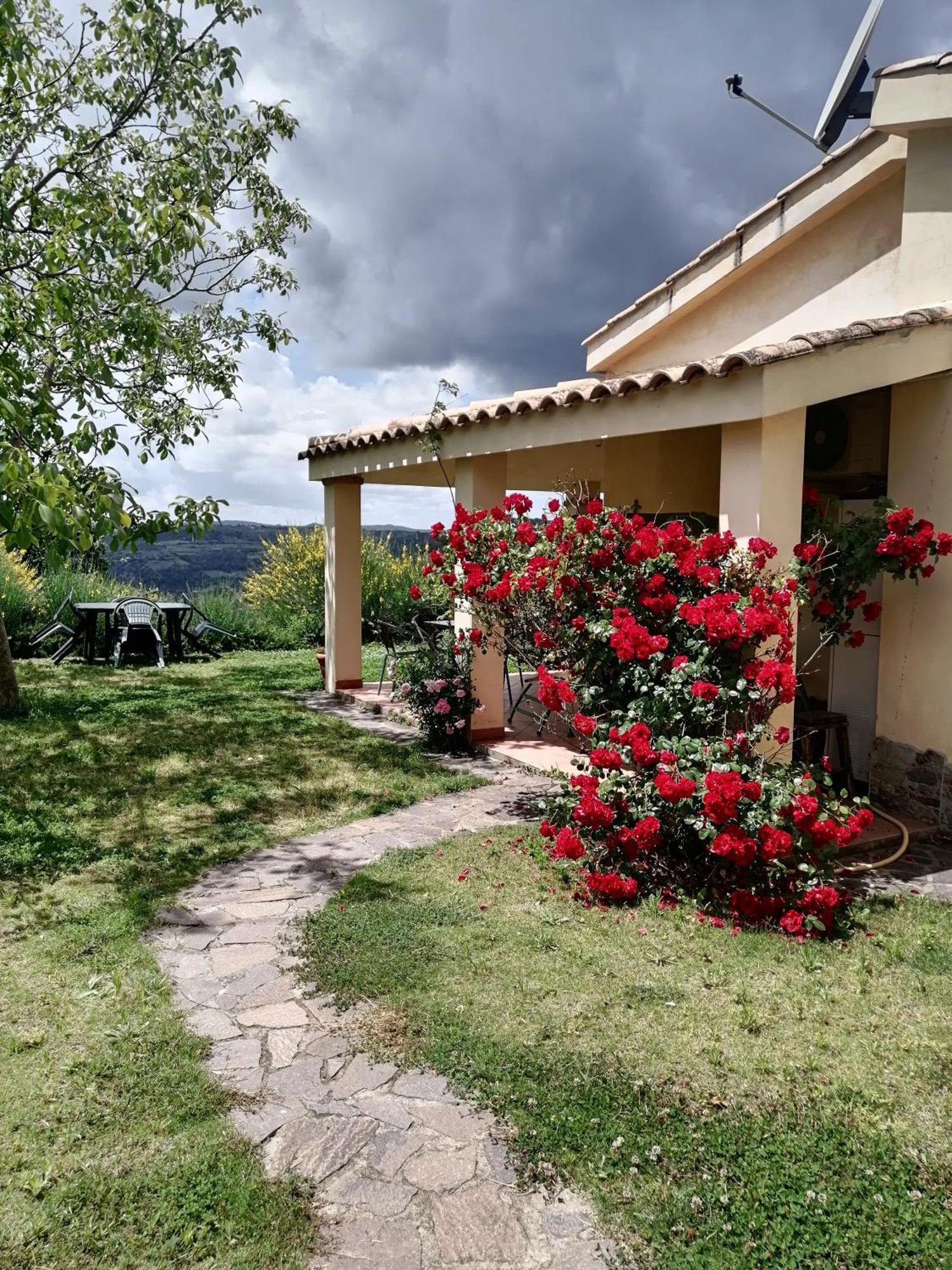S'Orrosa Casa Vacanze Bifamiliare In Montagna Panorama Stupendo Sardegna Seulo Exterior photo