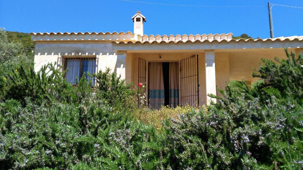 S'Orrosa Casa Vacanze Bifamiliare In Montagna Panorama Stupendo Sardegna Seulo Exterior photo