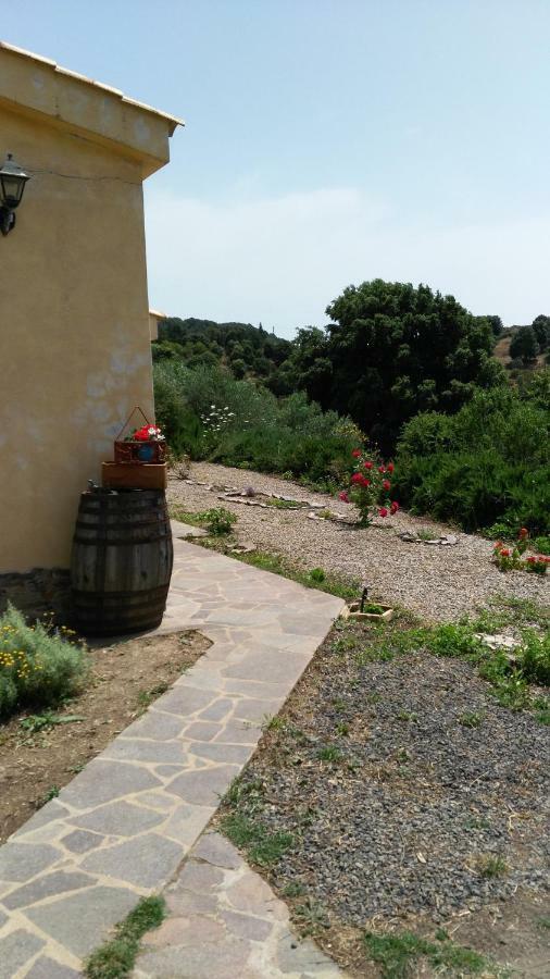 S'Orrosa Casa Vacanze Bifamiliare In Montagna Panorama Stupendo Sardegna Seulo Exterior photo